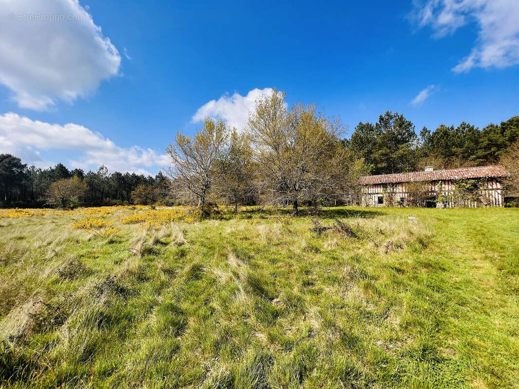 Maison à ONESSE-ET-LAHARIE