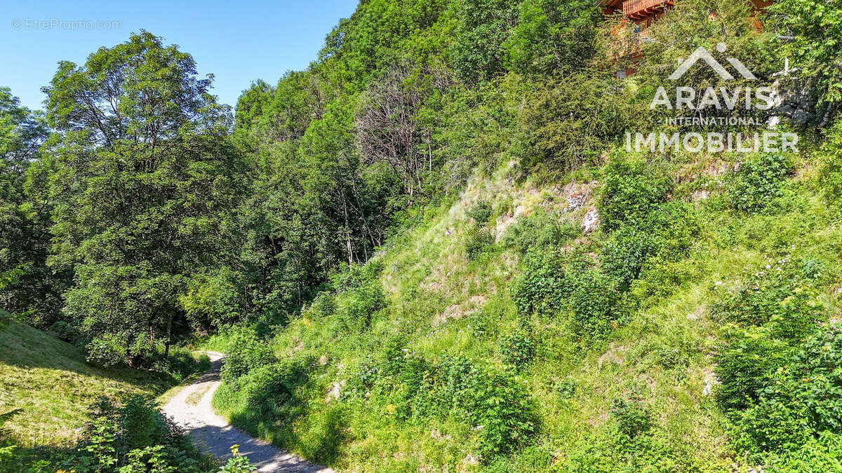 Terrain à LE GRAND-BORNAND
