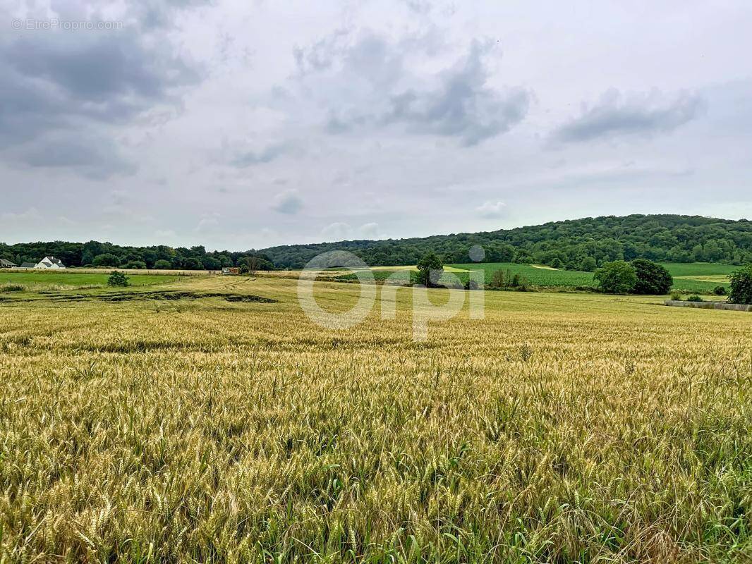Terrain à SACY-LE-GRAND