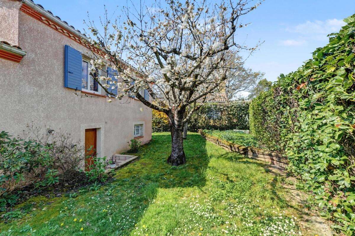 Maison à SAINT-JEAN