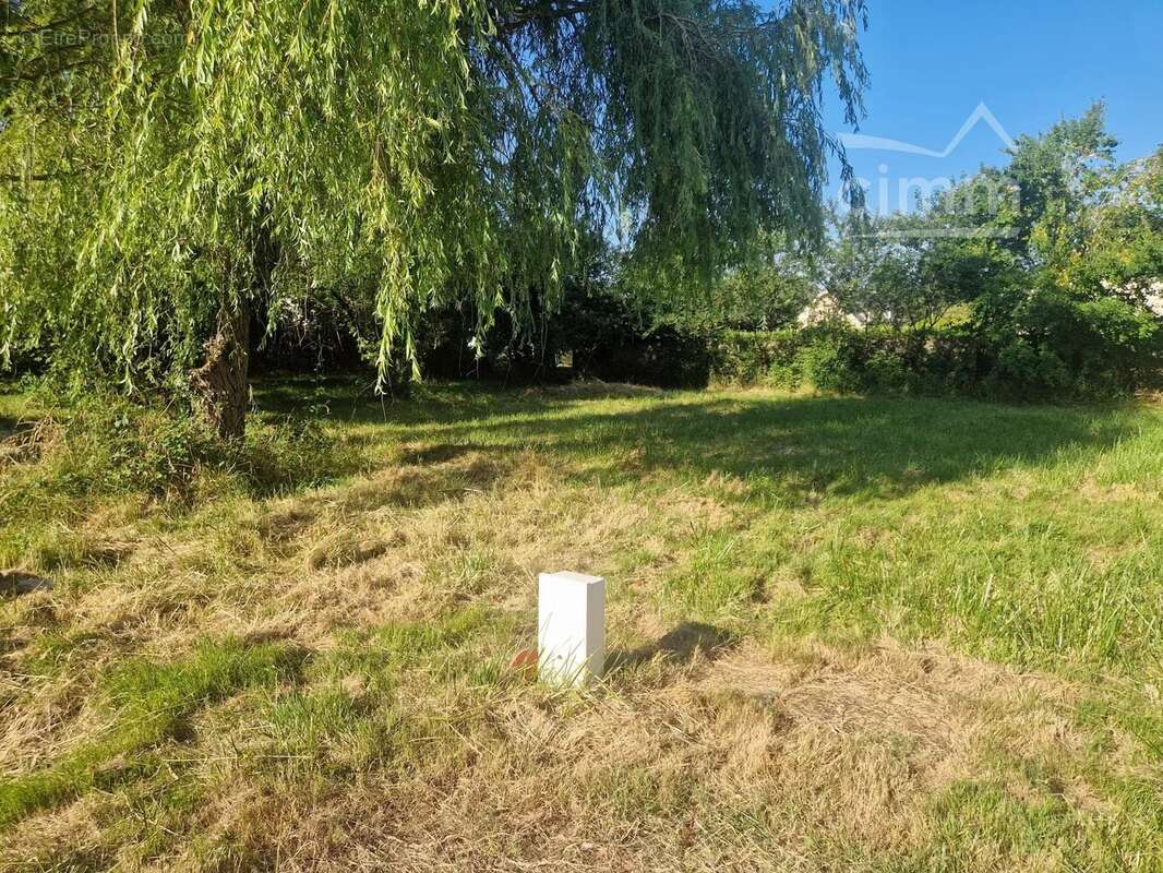 Terrain à SAVONNIERES