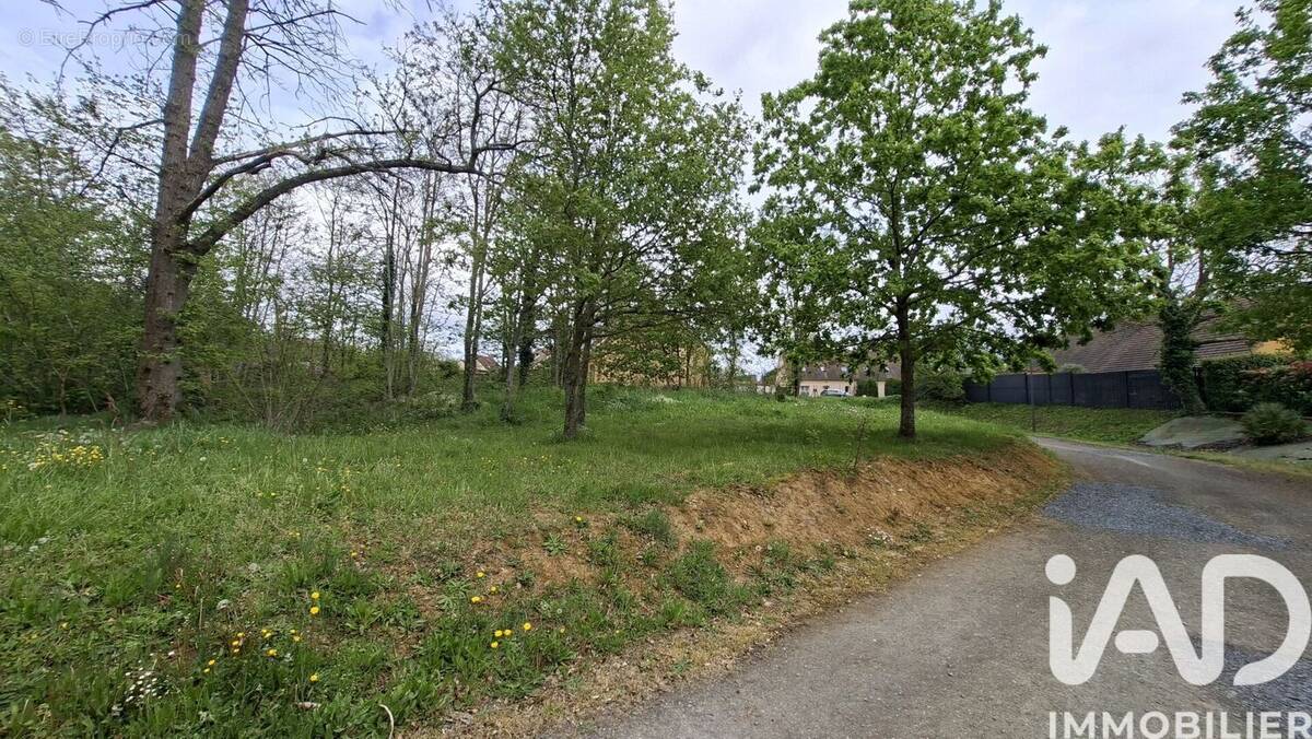 Photo 1 - Terrain à BRAINS-SUR-GEE