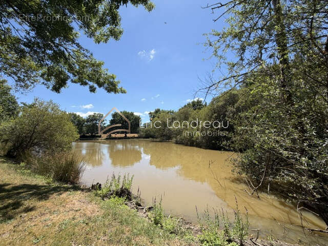 Plan d'eau avec chalet sur un terrain d'environ 5290 m2 - photo 8