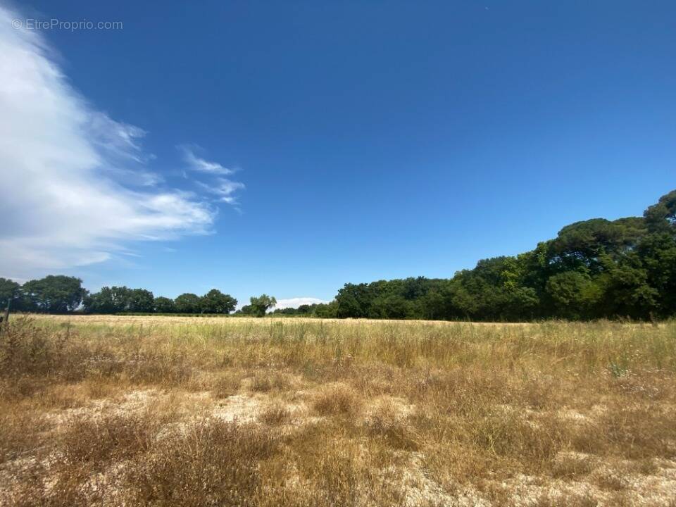 Terrain à VERARGUES