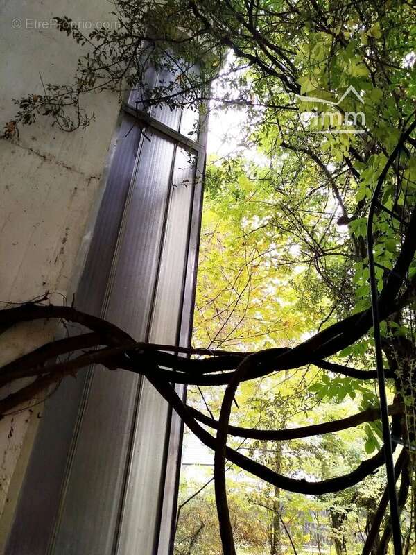 Maison à SAINT-CYR-EN-VAL