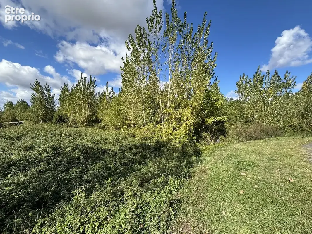 Terrain 10 836 m² à vendre à Morannes (49640) - photo 4