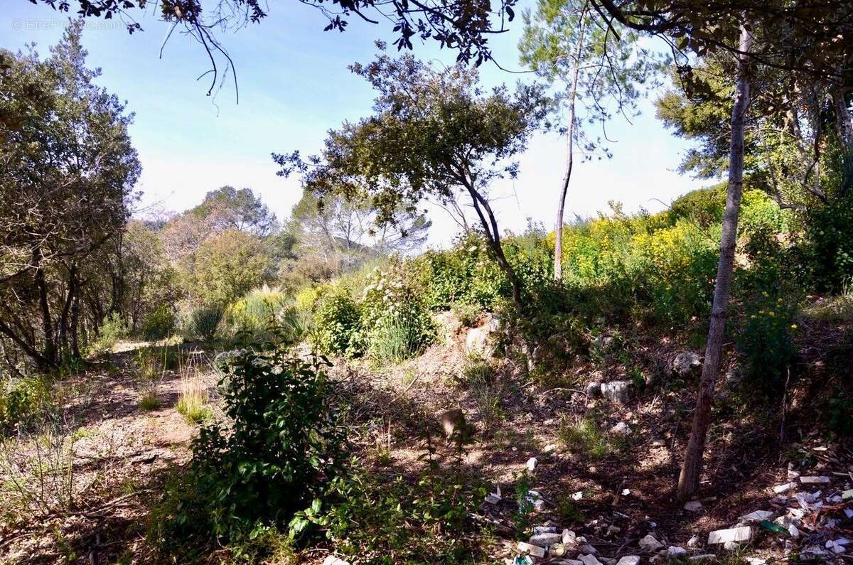 Terrain à LE TIGNET