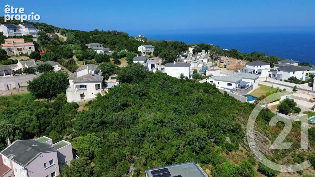 Terrain 2 792 m² à vendre à Santa-Maria-Di-Lota (20200) - photo 3