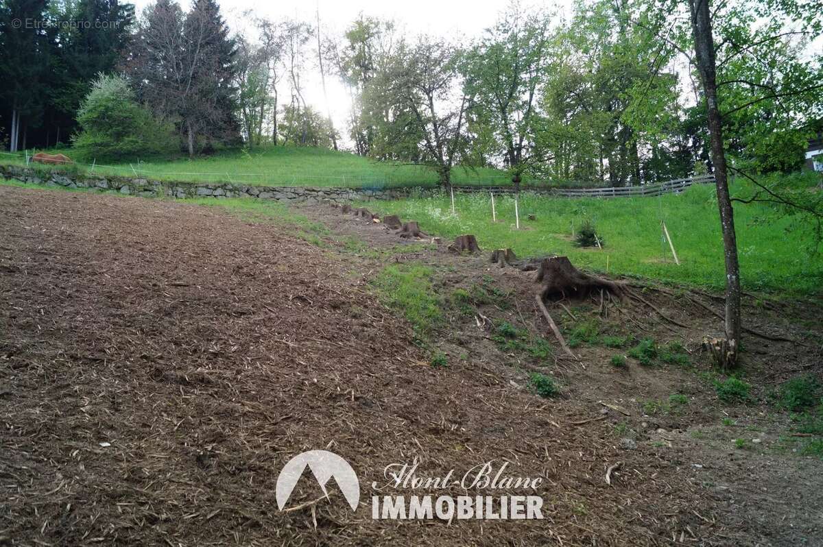 Terrain à DOMANCY