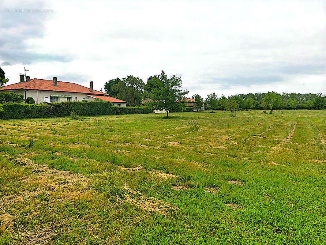 Terrain à MONTAUBAN