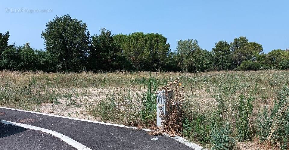 Terrain 522 m² à Le Triadou  - photo 1