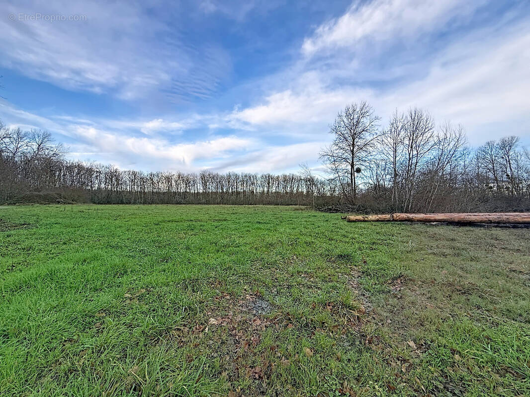 Terrain à COURTERANGES