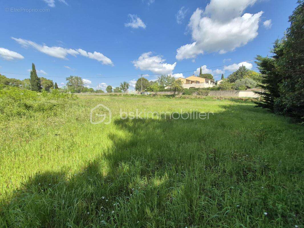 Ensemble immobilier - photo 6