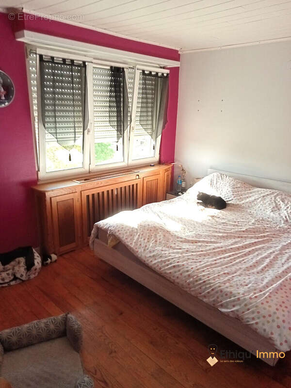 Appartement à LINGOLSHEIM