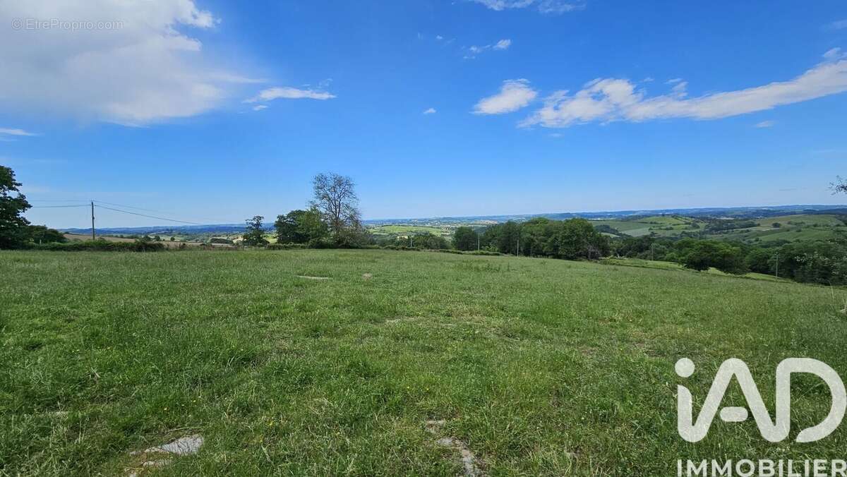 Terrain 1200 m² à Lohitzun-Oyhercq  - photo 5