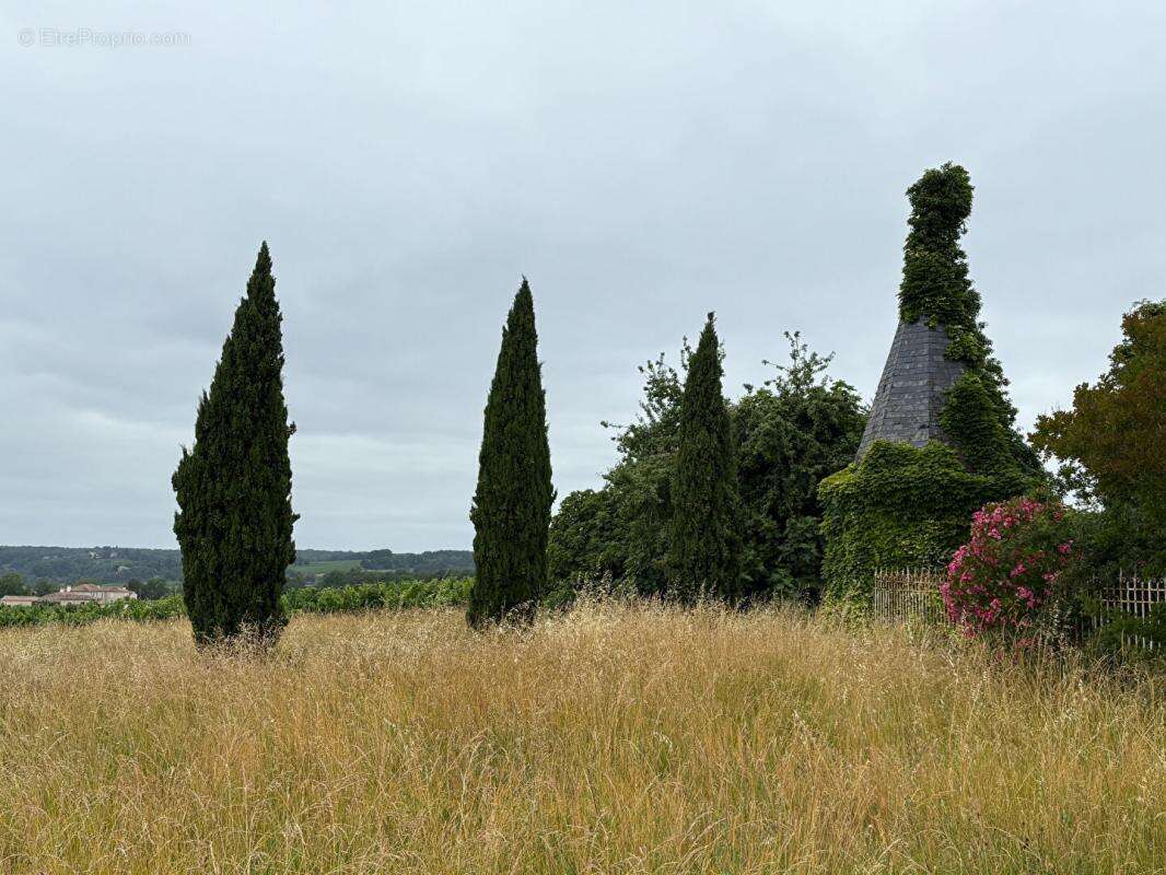 Château confidentiel à Massugas, dominant les côteaux, entre Pellegrue et Sauveterre de Guyenne - photo 8
