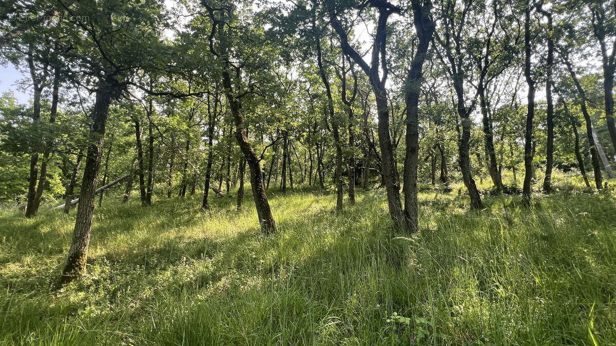 Maison à BOUTIGNY-SUR-ESSONNE