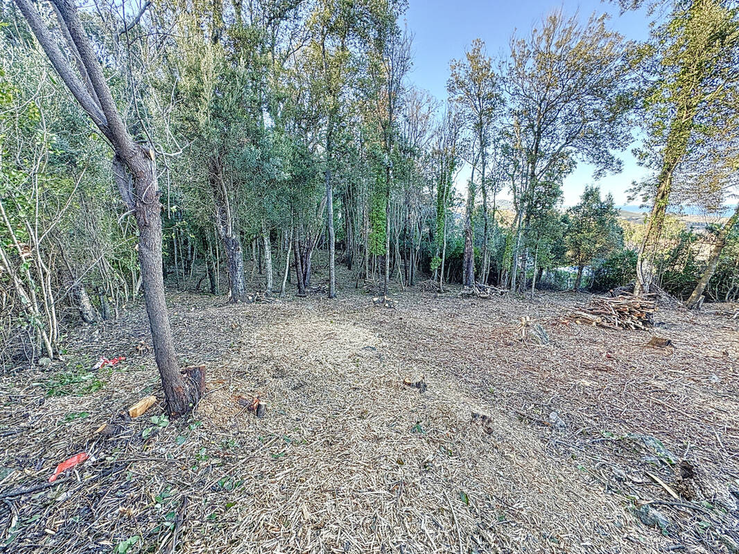 Terrain à SANTA-MARIA-POGGIO
