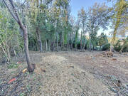 Terrain à SANTA-MARIA-POGGIO