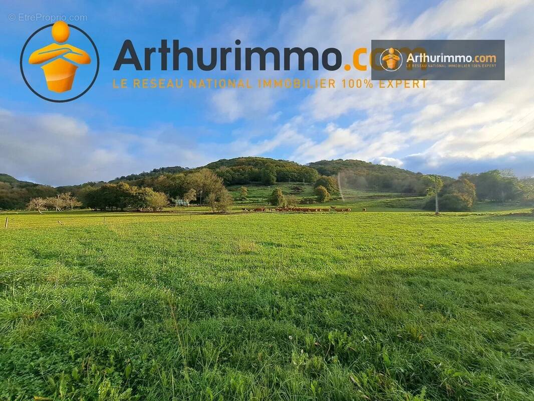 Terrain à MONTJOIE-EN-COUSERANS