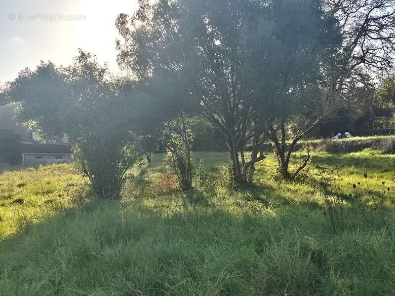 Terrain à CASSAGNOLES