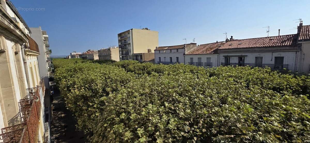 Sete - proche gare et pole universitaire - photo 7
