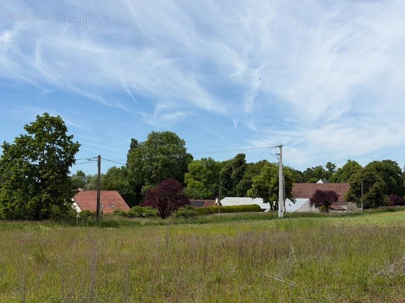 Terrain à ARCEAU