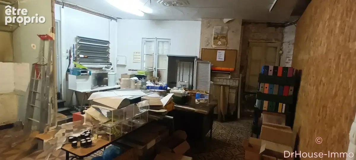 Commerce 207 m² à vendre à Rivarennes (37190) - photo 6