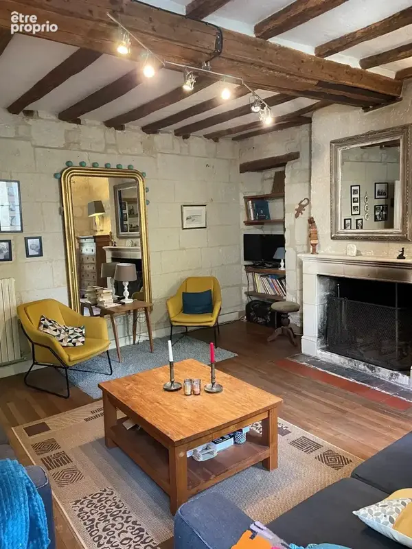 Bellevigne les chateaux - photo 8