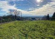 55724445a.jpg - Terrain à SERRES-CASTET