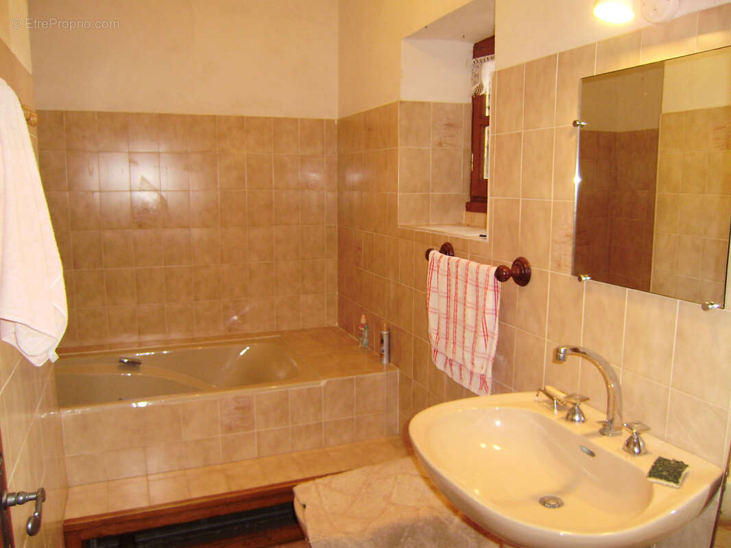 Maison à SAINT-CYPRIEN-SUR-DOURDOU