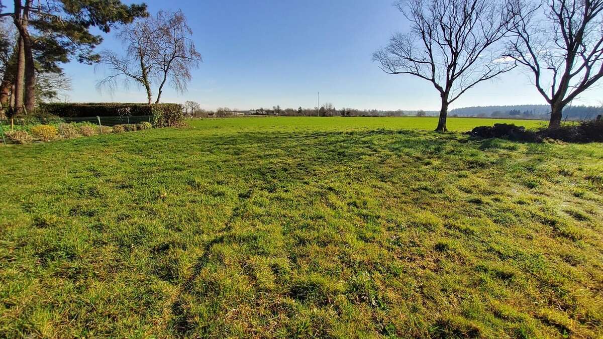 Terrain à SAINT-GANTON