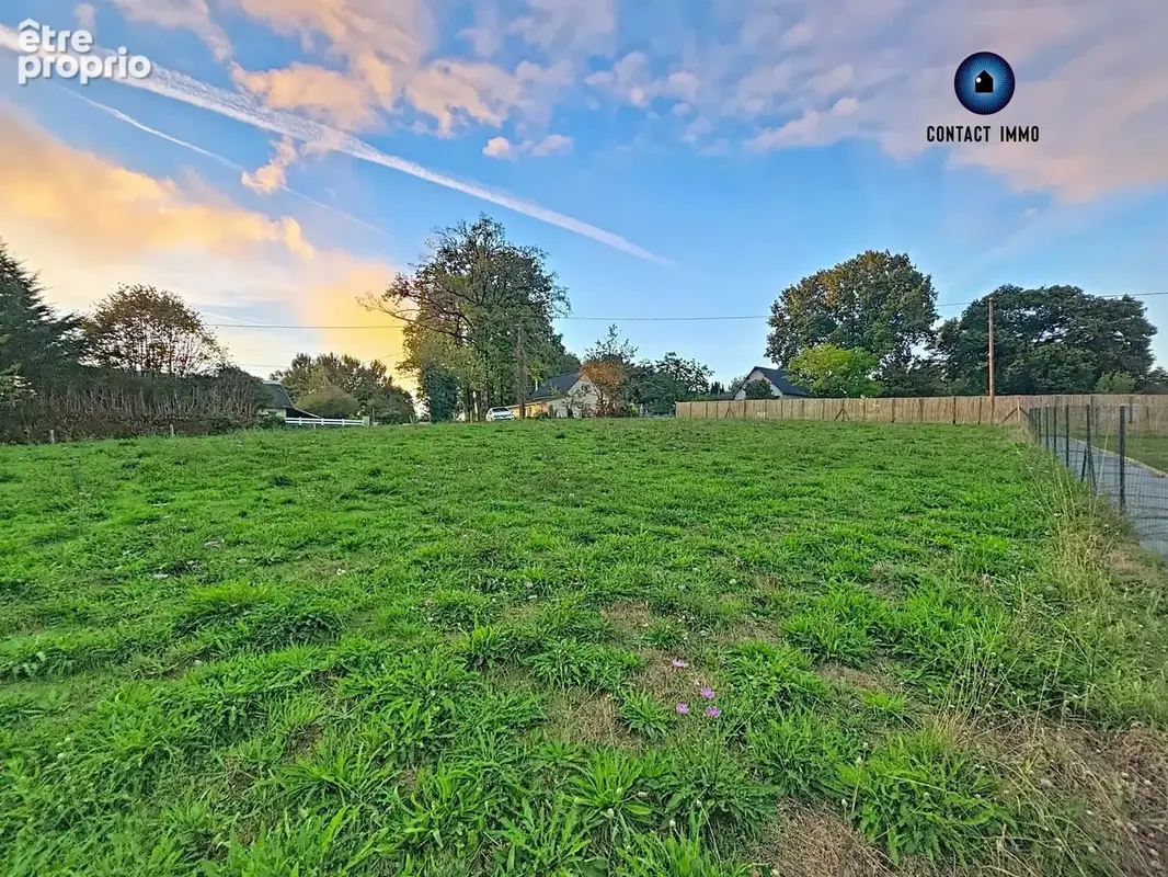 Terrain 1 500 m² à vendre à Sainte-Fereole (19270) - photo 3