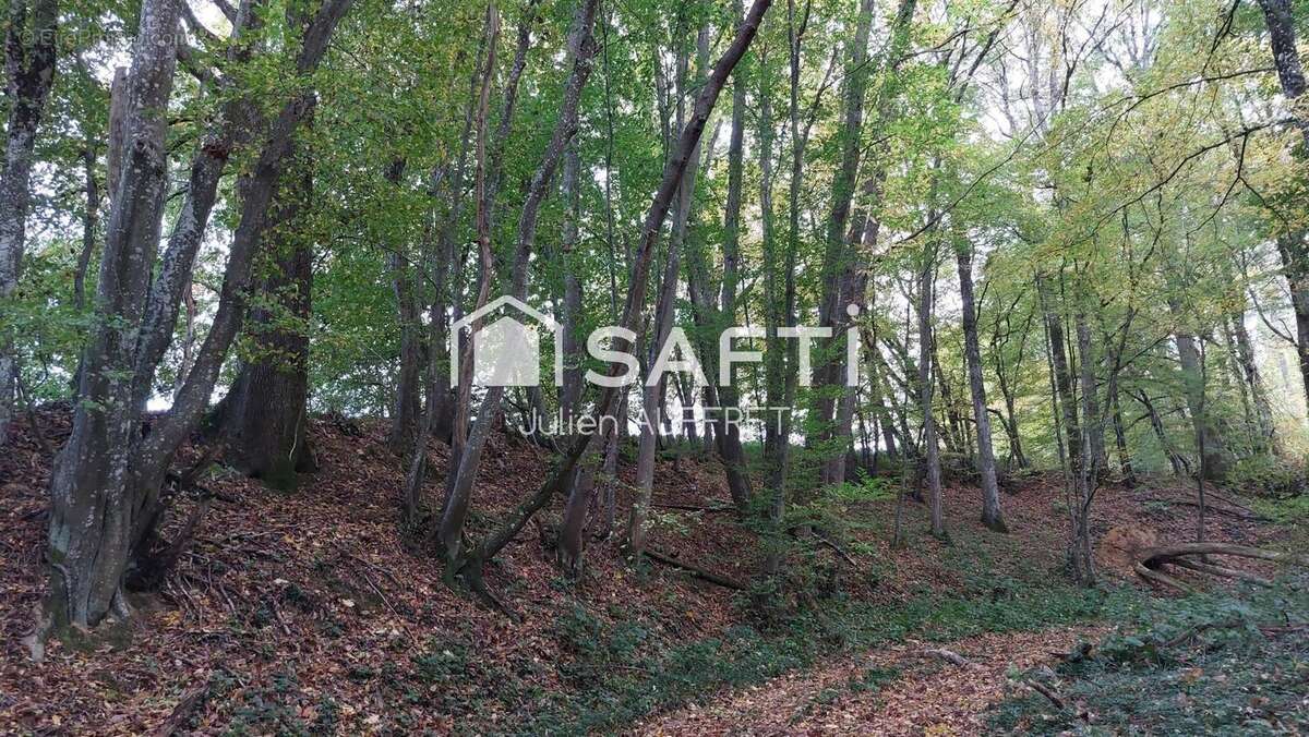 Photo 2 - Terrain à ARQUIAN