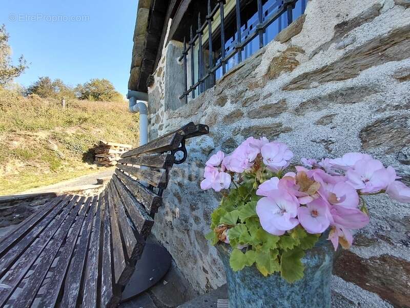 Maison à VIEILLEVIE