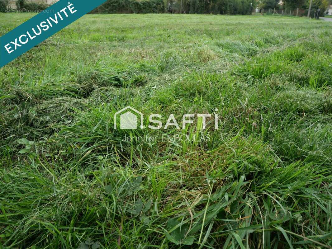 Photo 2 - Terrain à CASTRES-GIRONDE