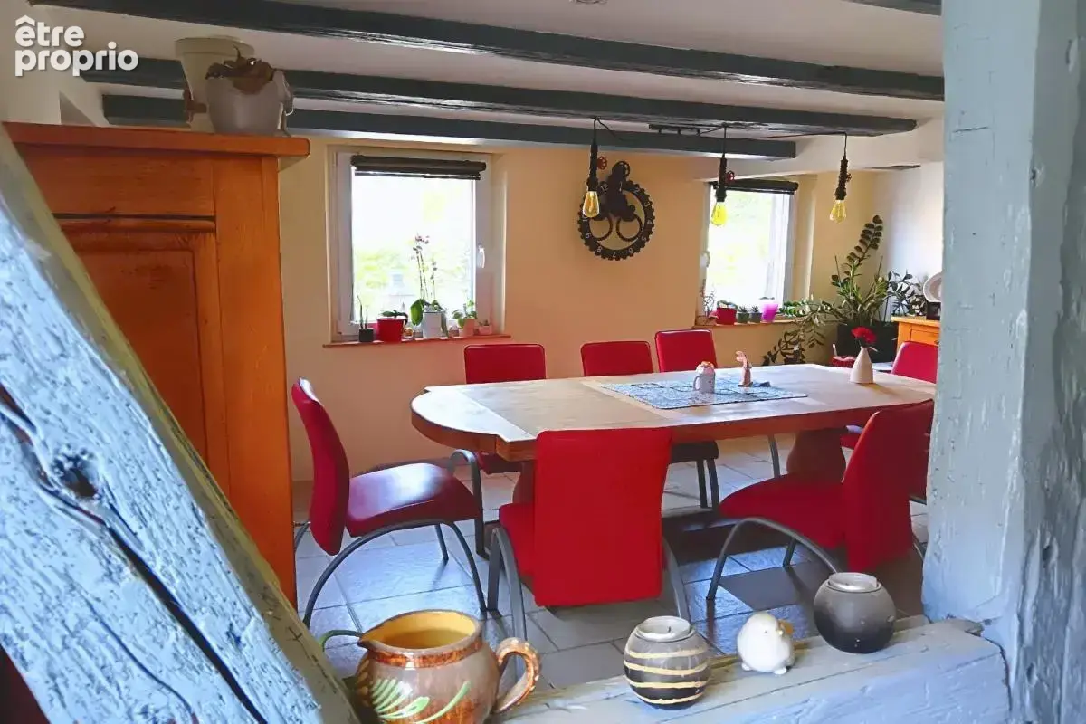 Grande maison Alsacienne rénovée, avec terrain et dépendances, 8 pièces, 246 m2 - photo 4