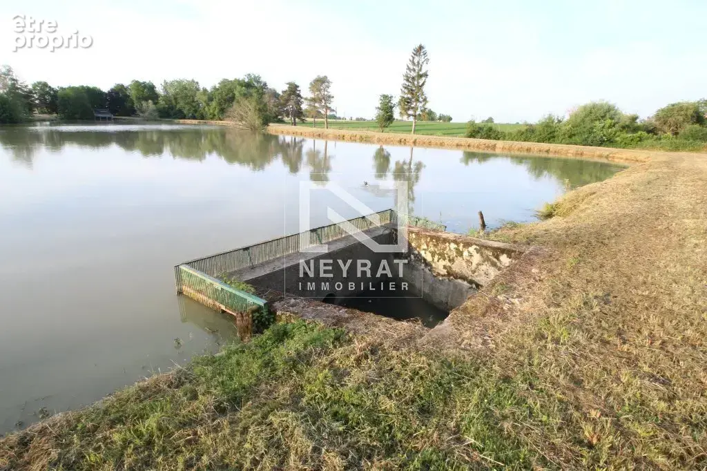Etang avec sources - photo 10