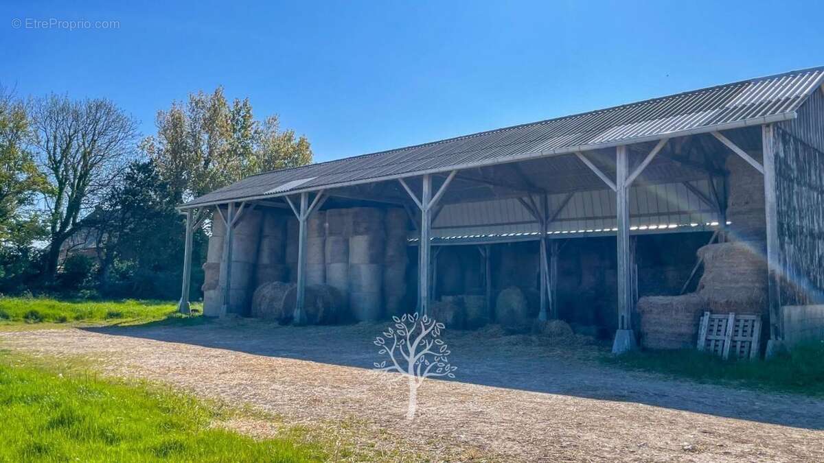 Maison à VEULETTES-SUR-MER