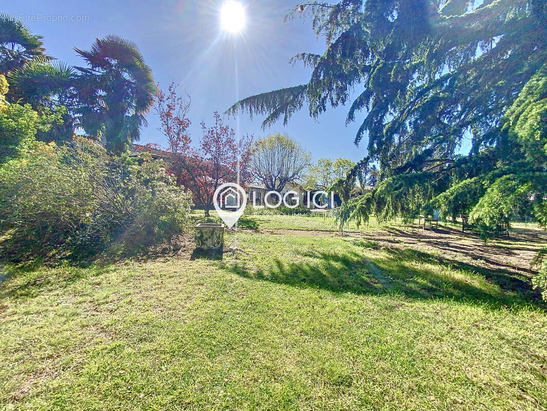 Commerce à SEVIGNACQ