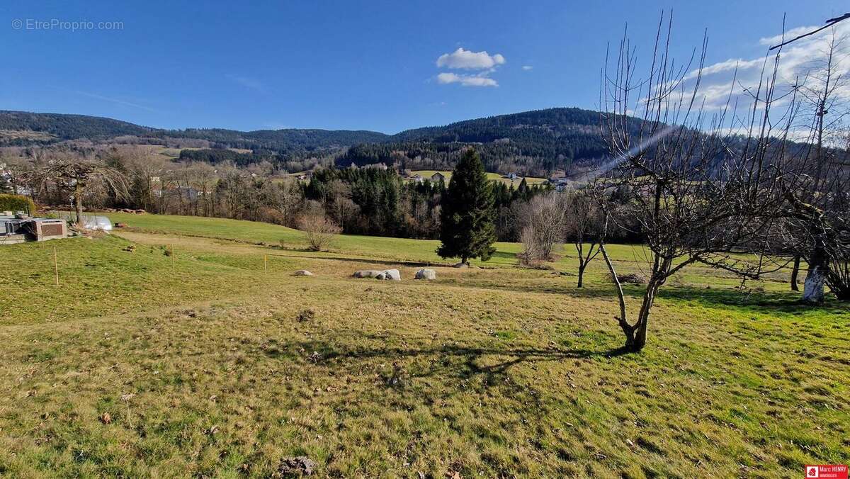 Terrain 1165 m² à Cleurie  - photo 5