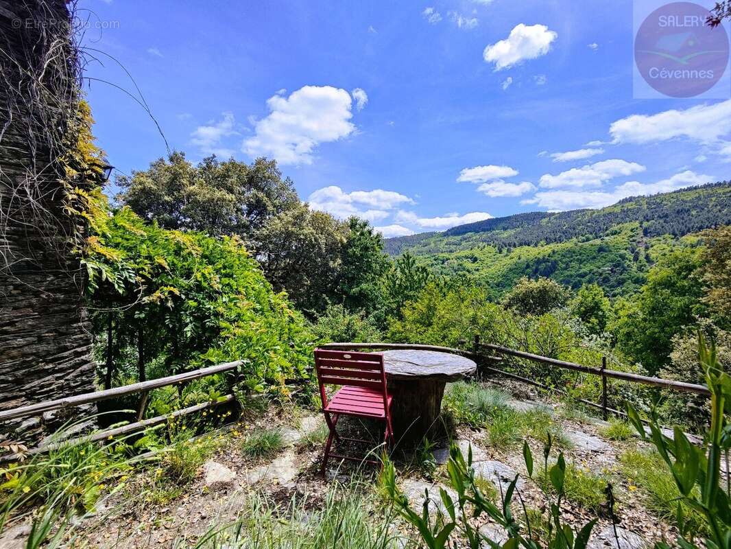 Authentique Mas cévenol en pierre avec vue dégagée - photo 18