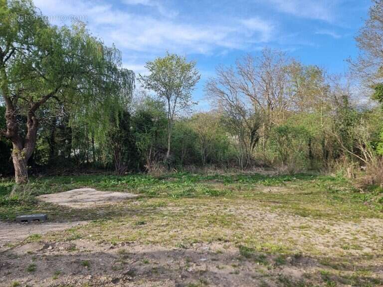 Terrain à VILLIERS-SAINT-FREDERIC