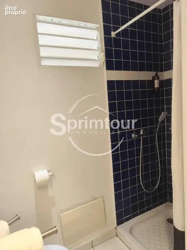 Appartement T2   Idéal investisseur   Bouillante, Guadeloupe - photo 11