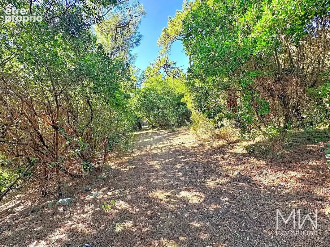 Photo Terrain à Lege-Cap-Ferret au prix de 1 665 000€
