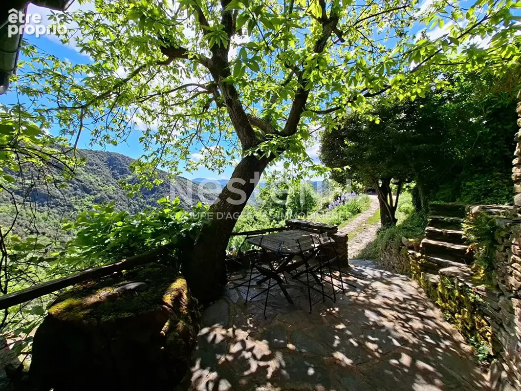 Maison d'Exception à Ventalon en Cévennes - Vue Panoramique, Calme Absolu - photo 12