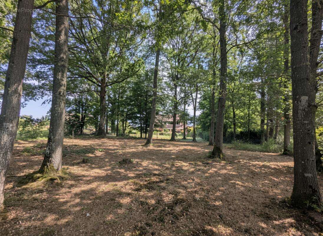 Propriété 107m2 3 chambres Parcelle arboré 4 611m2 - photo 15