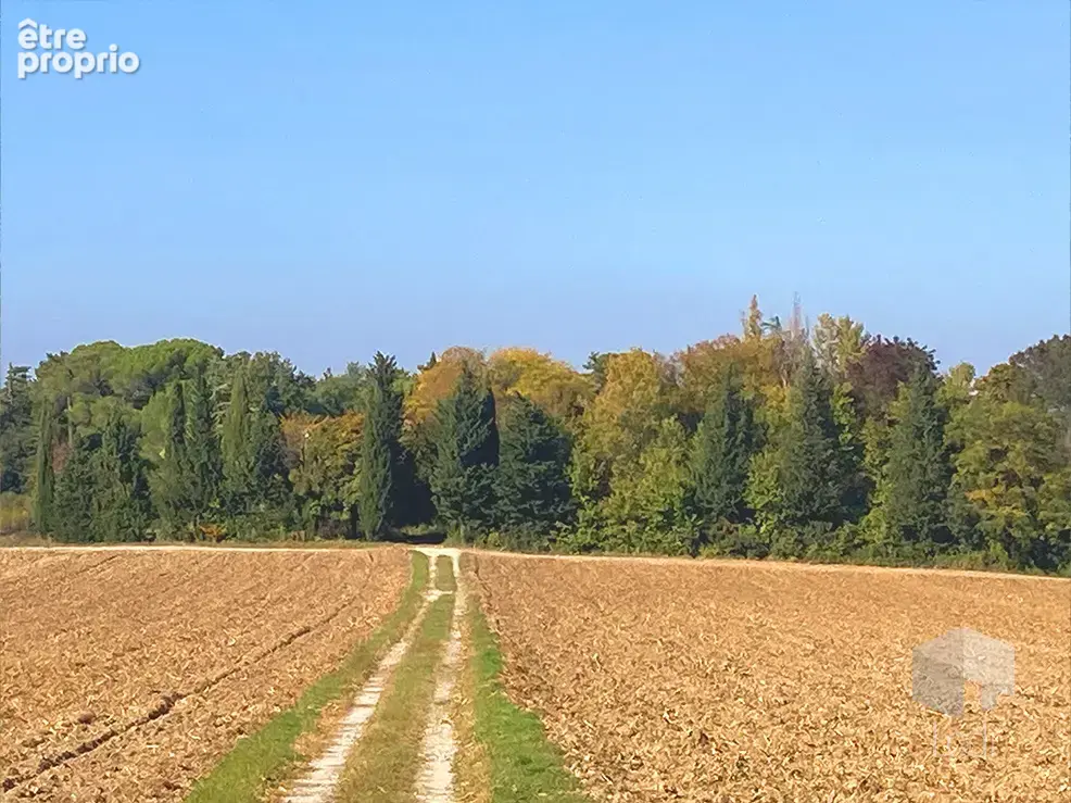 PUYGIRON, propriété sur un terrain de 50 000 m2 - photo 17