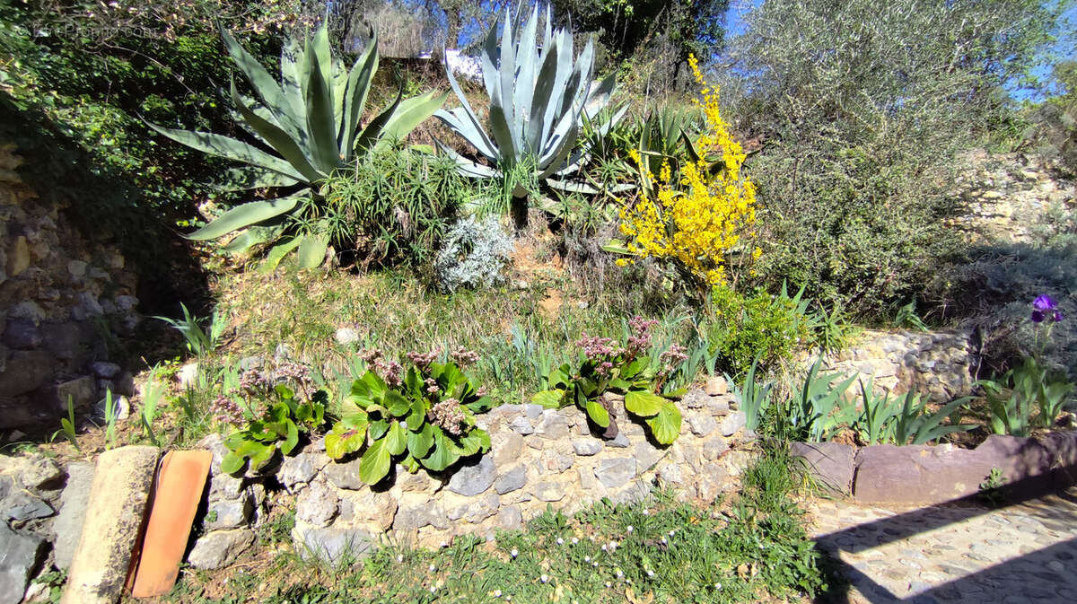 Maison à BREIL-SUR-ROYA