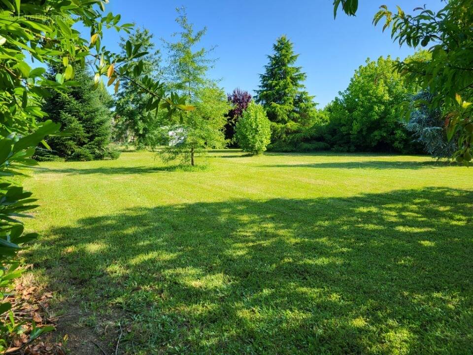 Terrain à COURS-DE-PILE